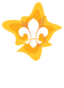 Cub Scouts