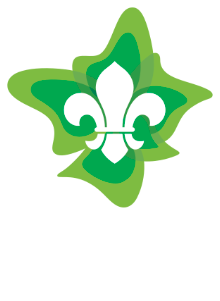 Scouts