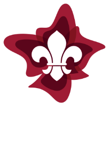Venturer Scouts